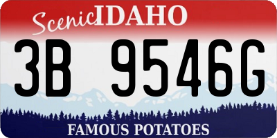 ID license plate 3B9546G