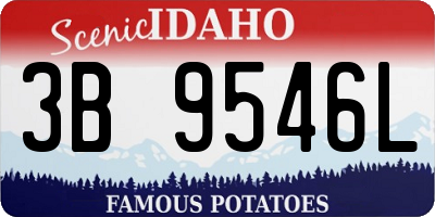 ID license plate 3B9546L