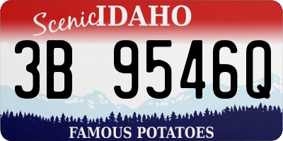 ID license plate 3B9546Q