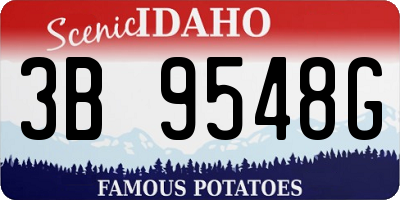 ID license plate 3B9548G