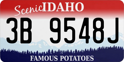 ID license plate 3B9548J