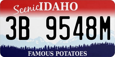 ID license plate 3B9548M