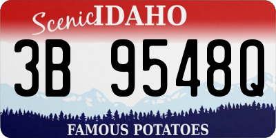 ID license plate 3B9548Q