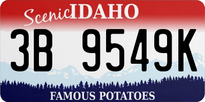 ID license plate 3B9549K