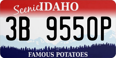 ID license plate 3B9550P