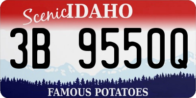 ID license plate 3B9550Q
