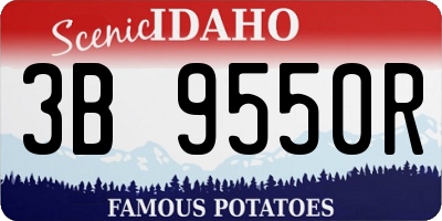 ID license plate 3B9550R
