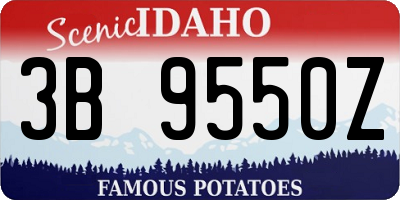ID license plate 3B9550Z