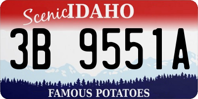 ID license plate 3B9551A