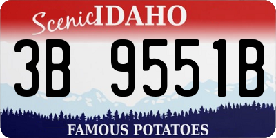 ID license plate 3B9551B
