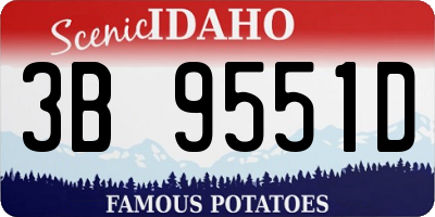 ID license plate 3B9551D