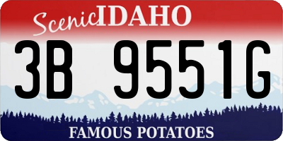 ID license plate 3B9551G