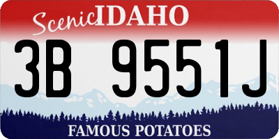 ID license plate 3B9551J