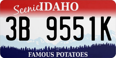 ID license plate 3B9551K