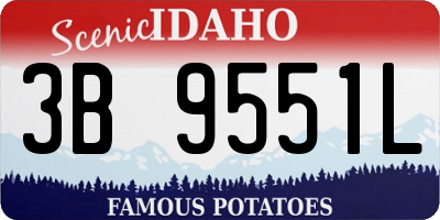 ID license plate 3B9551L