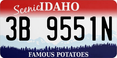 ID license plate 3B9551N