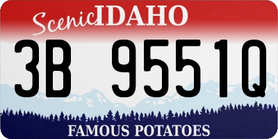 ID license plate 3B9551Q