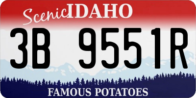 ID license plate 3B9551R