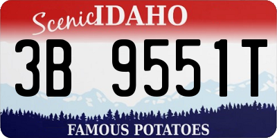 ID license plate 3B9551T