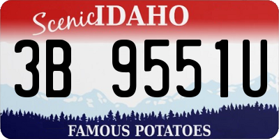 ID license plate 3B9551U