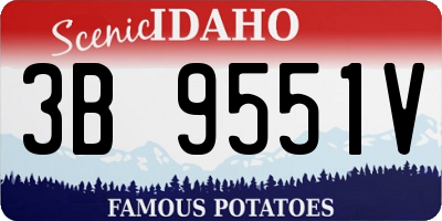 ID license plate 3B9551V