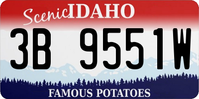 ID license plate 3B9551W