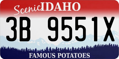 ID license plate 3B9551X