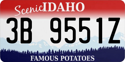 ID license plate 3B9551Z