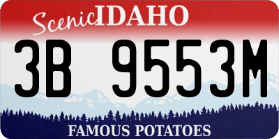 ID license plate 3B9553M