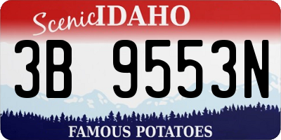 ID license plate 3B9553N