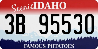 ID license plate 3B9553O