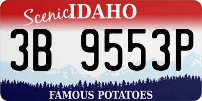 ID license plate 3B9553P