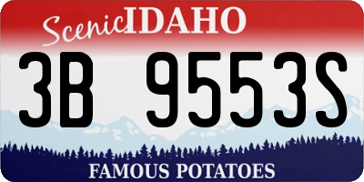 ID license plate 3B9553S