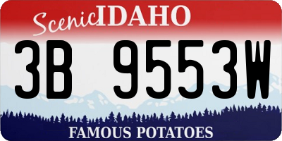 ID license plate 3B9553W