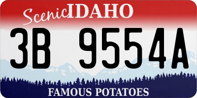 ID license plate 3B9554A