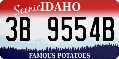 ID license plate 3B9554B
