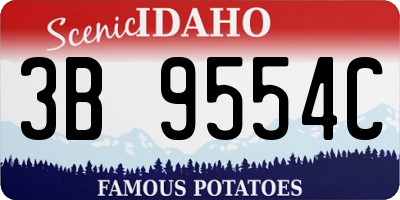 ID license plate 3B9554C