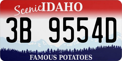 ID license plate 3B9554D