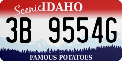 ID license plate 3B9554G
