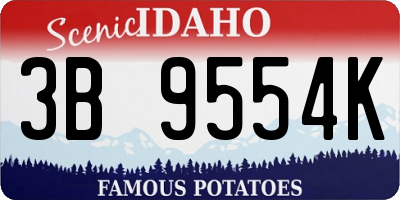 ID license plate 3B9554K
