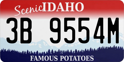 ID license plate 3B9554M