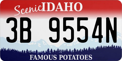 ID license plate 3B9554N
