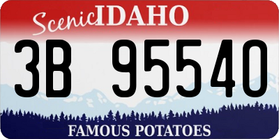 ID license plate 3B9554O