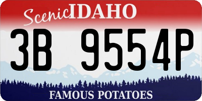 ID license plate 3B9554P