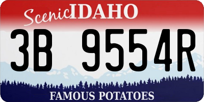 ID license plate 3B9554R