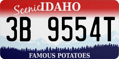 ID license plate 3B9554T