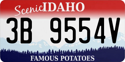 ID license plate 3B9554V