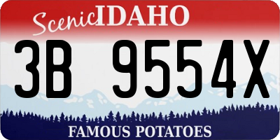 ID license plate 3B9554X