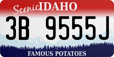 ID license plate 3B9555J