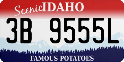 ID license plate 3B9555L